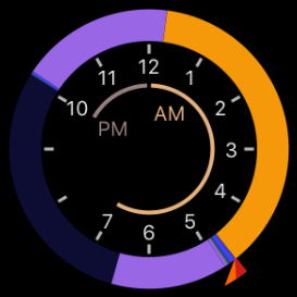 Circular chart of sleep position